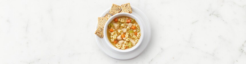 Instant Pot Chicken Noodle Soup