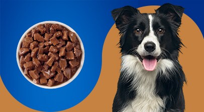 Pet pride chicken jerky clearance