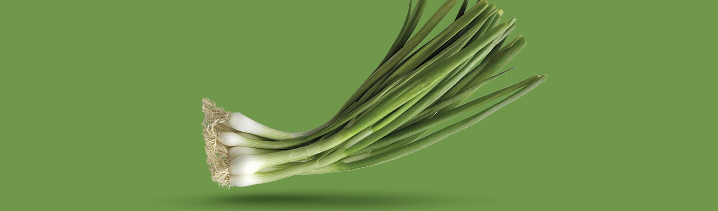 Bunch of Green Onions