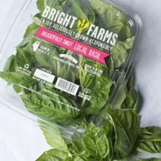 Baby Arugula