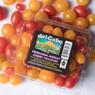 Cherry Tomatoes