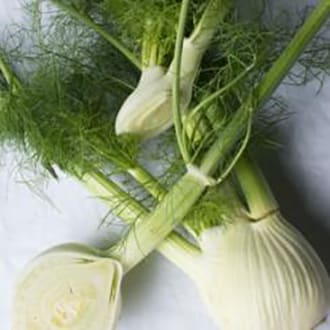 Fresh Fennel