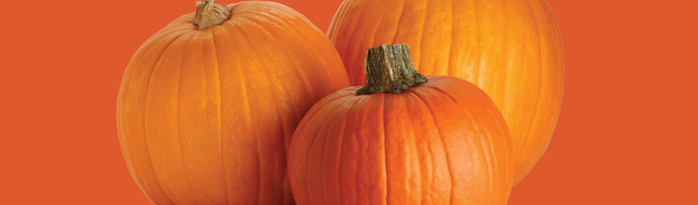 Pumpkin Palooza